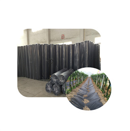 China Nonwoven PP Fabric for Agricultural Weed Control with 100%Polypropylene