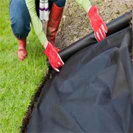 3.2m Width Nonwoven Fabric Roll Water Proof Fabric In Black Polypropylene Spunbond Nonwoven Fabric