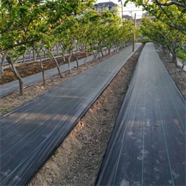ground cover woven cloth with holes in rolls plastic ground mats